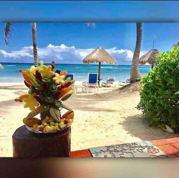 Beachfront Akumal Half Moon Bay Dış mekan fotoğraf